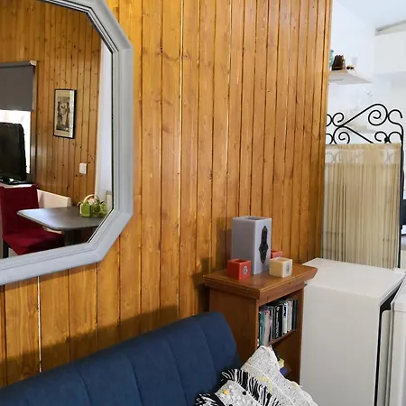 Apartament With Free Parking Terrace Free Wifi Connection Genewa